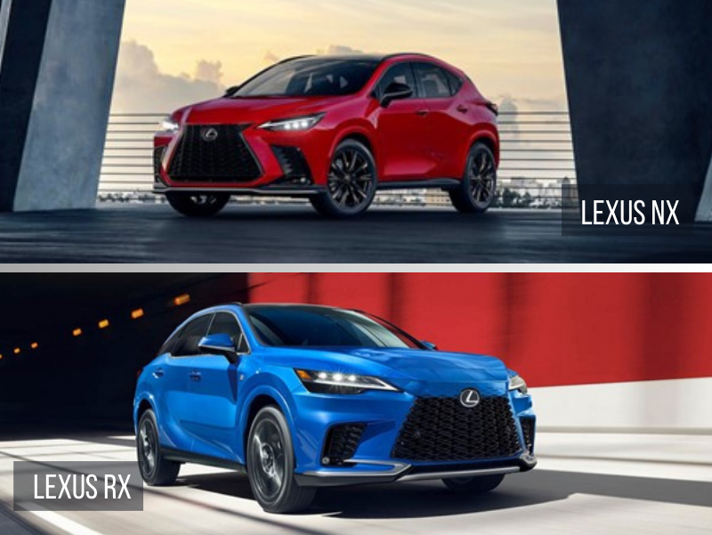 Lexus NX vs RX